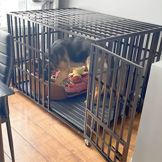 Heavy Duty Dog Crate