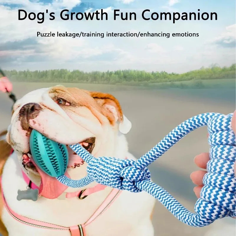 Interactive Dog Treat Ball