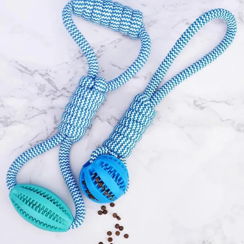 Interactive Dog Treat Ball