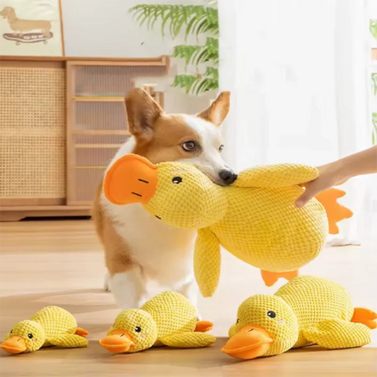 Dog Hug Plush Duck Toy